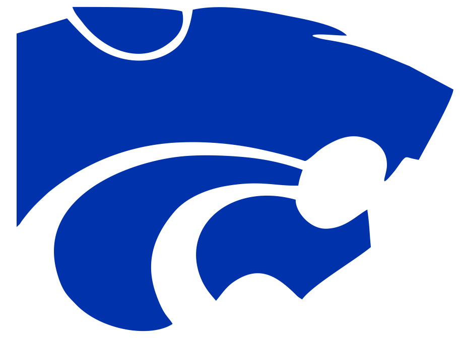 Cy Creek Water Polo