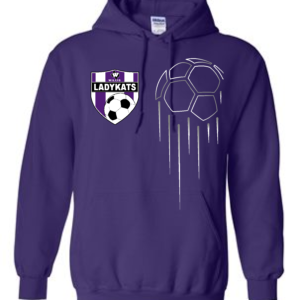 WS Ball Hoodie