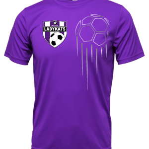 WS Ball DriFit T-Shirt
